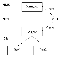 terminology